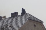mężczyzna siedzi na dachu